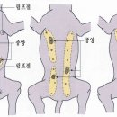 한빛동물병원 이미지