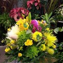 동탄나무치과의원 이미지