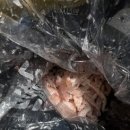 세븐일레븐 강릉뉴금진항점 이미지
