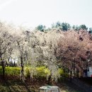 제일카메라 네이버블로그