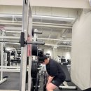 리라핏 거모점 이미지