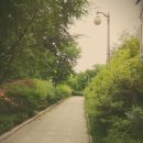 서리풀공원1-20 이미지