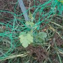 뽑기좋은날 이미지