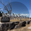 블루스프링리조트 | 휘닉스 평창 스프링패키지 특가 | 블루캐니언&amp;곤돌라 아이랑 다녀온 솔직후기