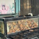 찐포차 | 범어맛집 백고동 대나발 미자포차 찐 후기