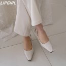 로이아 이미지