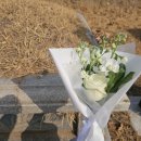 비단향꽃무 | 양재꽃시장(FSCUARE) 성묘꽃 준비 후기- 스토크(비단향꽃무)와 흰색 장미 마르샤 조합으로 마음을...