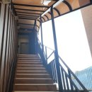 팔팔 문어 낙지 볶음 이미지