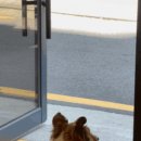 로스터리락온 역삼포스코점