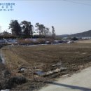 광산구-141 네이버블로그