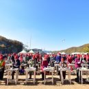 제15회 청송사과축제 이미지