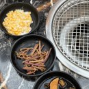 용황애견 이미지