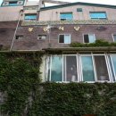 성공식당 이미지