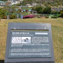 서피랑문화관광해설사의집 | 통영 가볼 만한 곳: 동피랑 말고 서피랑! 인생 샷 명소와 서피랑 떡볶이 닭튀김까지