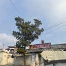 성환-12 | [천안] 천안 유명 3대 뼈해장국, 성환 뚝배기해장국 다녀온 후기