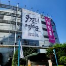 (주)디자인나날 | 양재 막스포2026, 술 몰라도 카트 가득 채웠어요