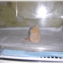 응암동 585-15 이미지