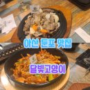 둔포로 | 둔포 맛집 | ‘달빛고양이’ 후기, 분위기, 안주, 가격, 메뉴