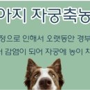 나음동물병원 이미지