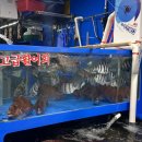 장성시장 입구 이미지