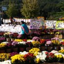 공주시유구읍추계보건진료소 이미지