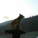 무지개훈련소 이미지