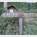 숲속나들이길 이미지