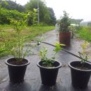 둔덕농장2 이미지