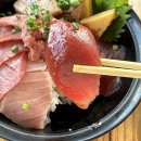 국제성지 둘레길 | 시즈오카 여행코스 2박3일 렌트카 일정 추천