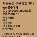 사돈농장 이미지