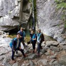 오월의수수꽃다리 | 주흘산 문경새재