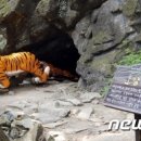 괴산클라스