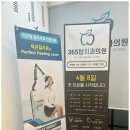 365탑치과의원 이미지