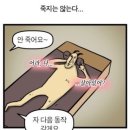 루씨 필라테스 네이버블로그