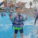 용인대골드태권도장 이미지