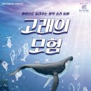 창작고래 이미지