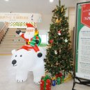 강릉모루도서관 이미지