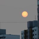 태양메디칼 이미지