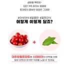 건스네야식 | 금흑 스테비아 토마토 요리 레시피 스테비토로 건강하게 다이어트 식단 관리 해요