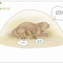 아이통곡모유육아상담실 - 의정부시 청사로6번길 7-30 | 아이통곡모유육아상담실