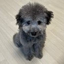 케이코야 이미지