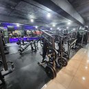 코코휘트니스 이미지