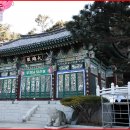 흥륜사 - 1429 | 흥륜사