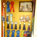 승민애견 이미지