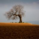 플루트(Flute) 이미지