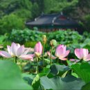 상림화원 이미지