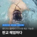 자유공원로 | 판교 엔드리스풀 헤엄하다 1:1 수영 레슨 체험 후기