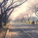 참사랑세탁소 이미지