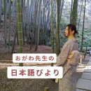 일본어 원어민(비대면) 이미지