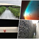 유민목장 이미지